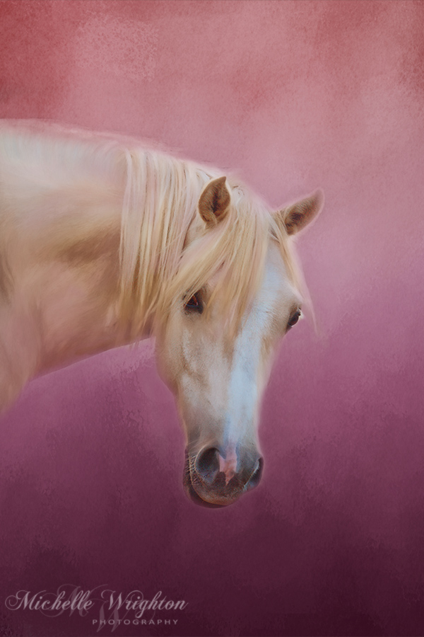 Pretty In Pink - Palomino Pony