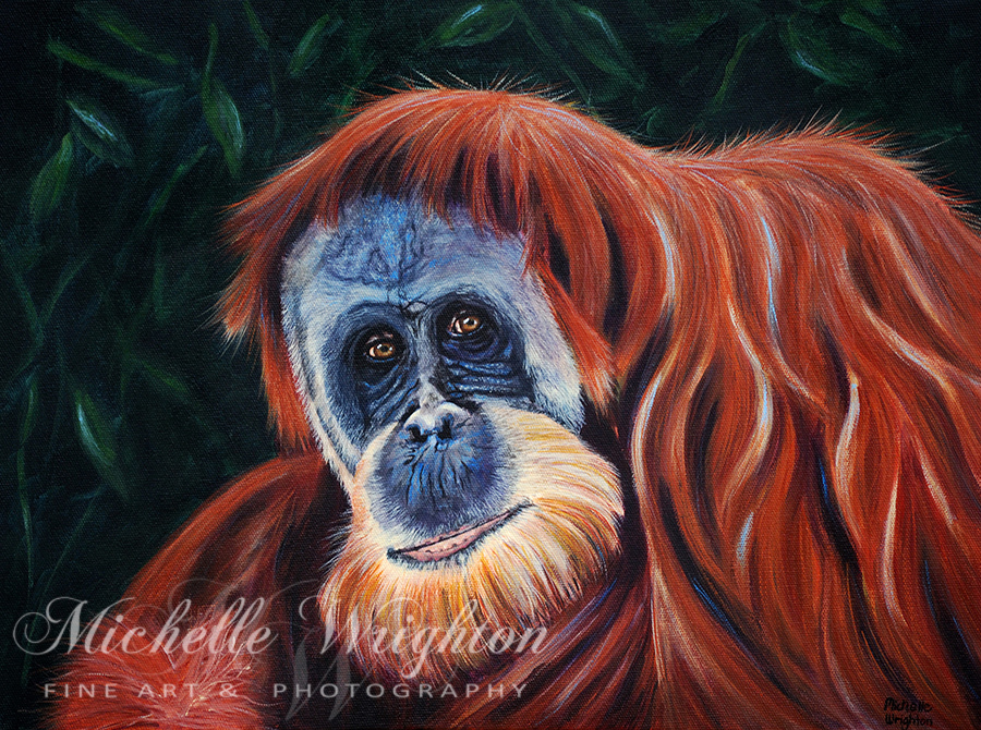 Wise One - Orangutan