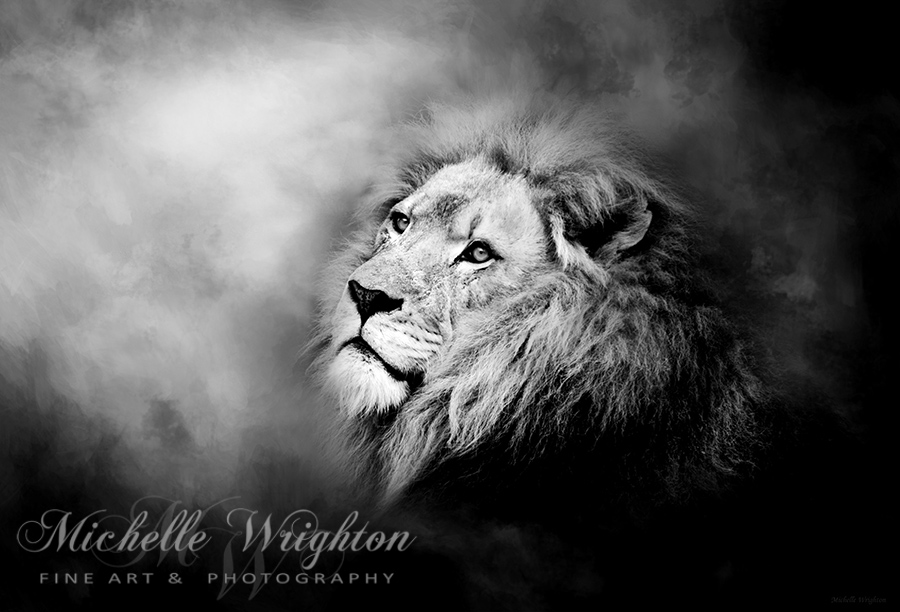 Lion - Pride Of Africa II - Tribute To Cecil In Black And White