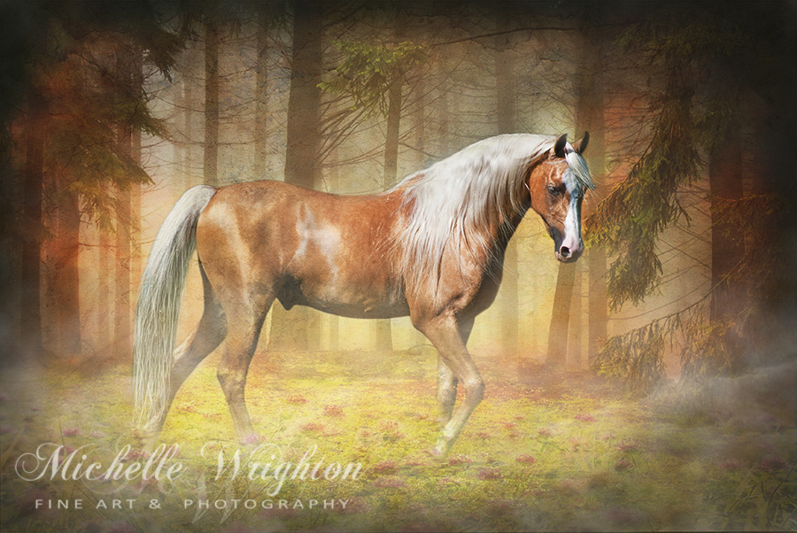 Palomino Horse Gold In The Mist