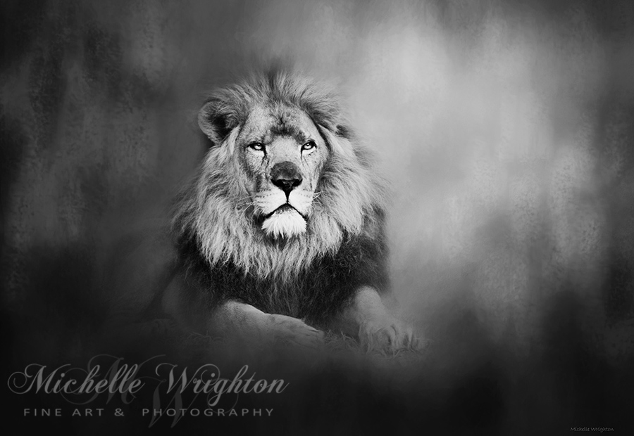 Lion - Pride of Africa I - Tribute to Cecil in Black and White