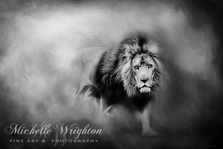 Lion - Pride of Africa III - Tribute to Cecil in Black and White