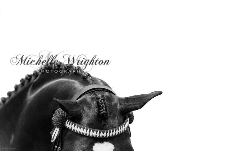 Plaits Dressage Series Michelle Wrighton Photography