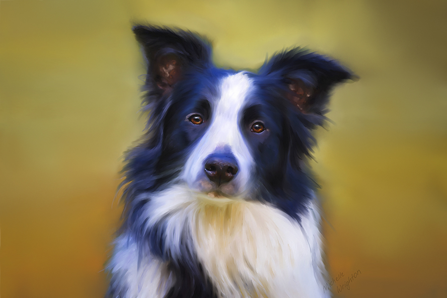 Border Collie mixed media painting