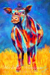 Colourful Angus Cow