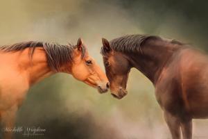 Best Friends – Two Horses