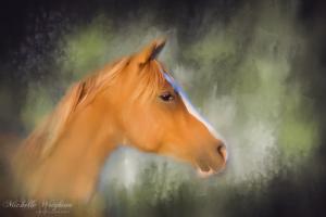 Inspiration – Horse Art