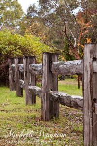 Raindrops On Rustic Wood Fence